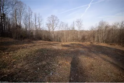 0 Reynolda Road, Pfafftown, NC 27040 - Photo 7