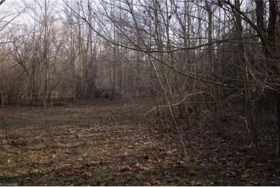 0 Reynolda Road, Pfafftown, NC 27040 - Photo 19