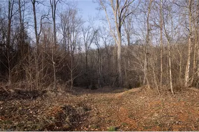 0 Reynolda Road, Pfafftown, NC 27040 - Photo 5