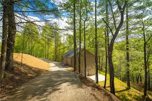 114 Woodpecker Rd, Purlear, NC 28665 - Photo 1