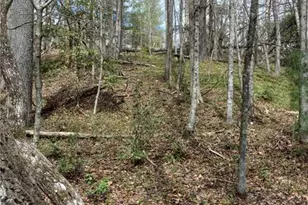 146 Ringwood Dr, Mount Airy, NC 27030 - Photo 31