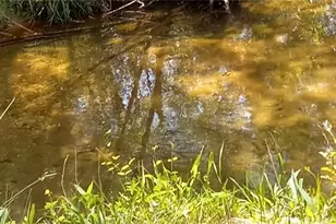 146 Ringwood Dr, Mount Airy, NC 27030 - Photo 31