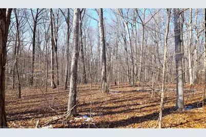 2669 Wagon Trail, Pfafftown, NC 27040 - Photo 17