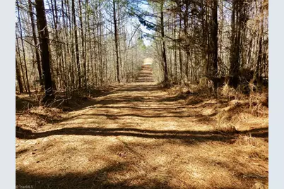 333 Haw Road, Browns Summit, NC 27214 - Photo 23