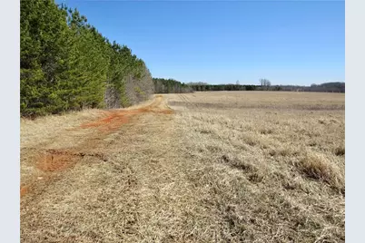 333 Haw Road, Browns Summit, NC 27214 - Photo 3