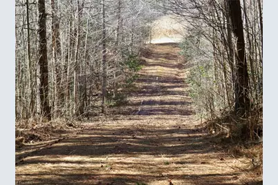 333 Haw Road, Browns Summit, NC 27214 - Photo 25