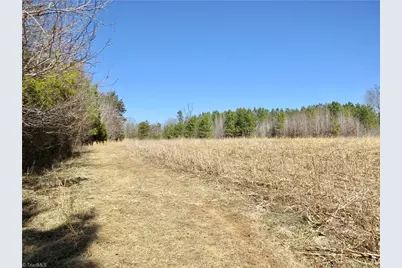 333 Haw Road, Browns Summit, NC 27214 - Photo 29