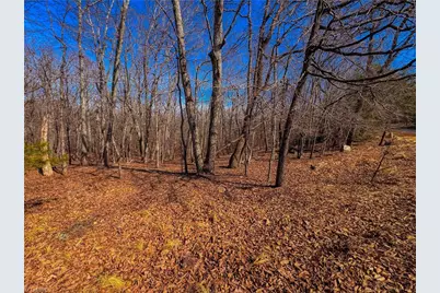 863 Sierra Trace Road, Denton, NC 27239 - Photo 7