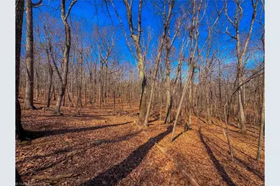 863 Sierra Trace Road, Denton, NC 27239 - Photo 13
