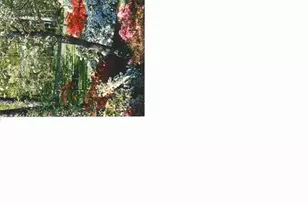 4255 Briar Creek Rd, Clemmons, NC 27012 - Photo 45