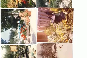 4255 Briar Creek Rd, Clemmons, NC 27012 - Photo 49