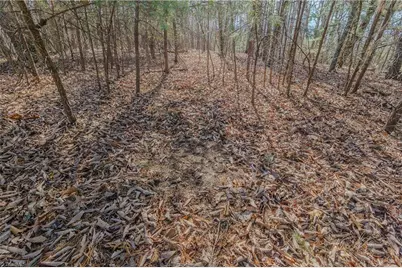 000 Willard Creek, Stuart, VA 24171 - Photo 13