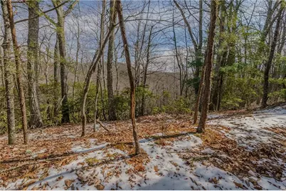000 Willard Creek, Stuart, VA 24171 - Photo 21