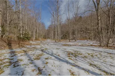 000 Willard Creek, Stuart, VA 24171 - Photo 5