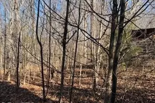 3633 Shacktown Rd, Yadkinville, NC 27055 - Photo 5