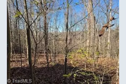 3633 Shacktown Road, Yadkinville, NC 27055 - Photo 3