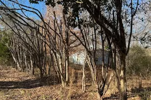 3633 Shacktown Rd, Yadkinville, NC 27055 - Photo 9