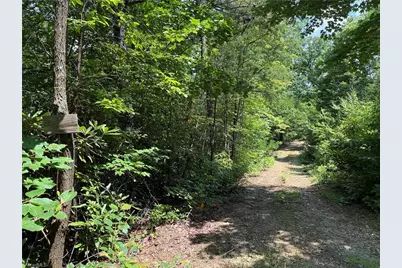 337 Lucas Path Drive, Purlear, NC 28665 - Photo 7