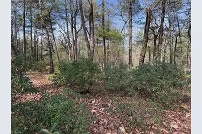 Lot 120 Rich Pine Drive, Purlear, NC 28665 - Photo 9