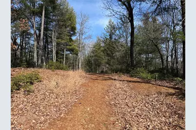 Lot 120 Rich Pine Drive, Purlear, NC 28665 - Photo 5