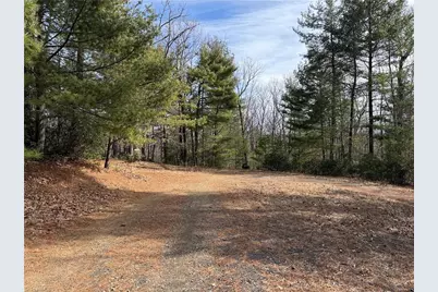 Lot 120 Rich Pine Drive, Purlear, NC 28665 - Photo 3