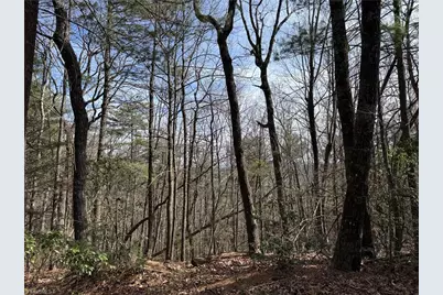 Lot 120 Rich Pine Drive, Purlear, NC 28665 - Photo 15