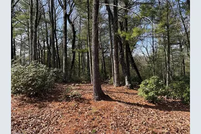 Lot 120 Rich Pine Drive, Purlear, NC 28665 - Photo 13