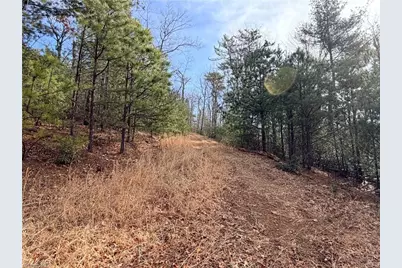 Lots 207 & 220 Maple Valley Lane, Purlear, NC 28665 - Photo 15