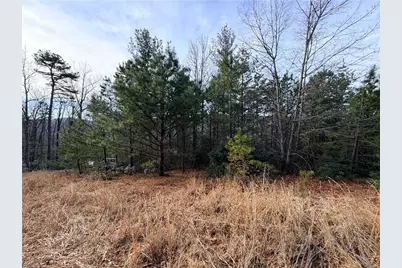 Lots 207 & 220 Maple Valley Lane, Purlear, NC 28665 - Photo 13