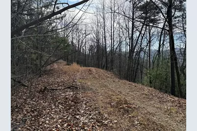 Lots 207 & 220 Maple Valley Lane, Purlear, NC 28665 - Photo 7