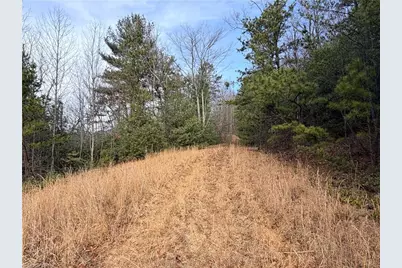 Lots 207 & 220 Maple Valley Lane, Purlear, NC 28665 - Photo 11