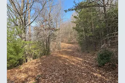 Lots 207 & 220 Maple Valley Lane, Purlear, NC 28665 - Photo 3