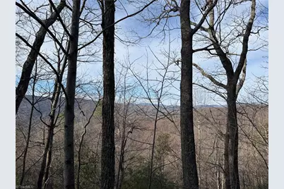 Lots 207 & 220 Maple Valley Lane, Purlear, NC 28665 - Photo 5