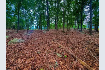 1996 Sierra Trace Road, Denton, NC 27239 - Photo 15