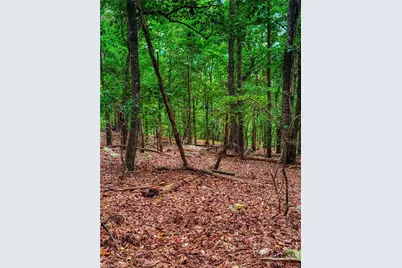 1996 Sierra Trace Road, Denton, NC 27239 - Photo 11