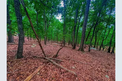 1996 Sierra Trace Road, Denton, NC 27239 - Photo 13