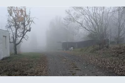 1324 Hardie Mabe Road, Danbury, NC 27016 - Photo 29