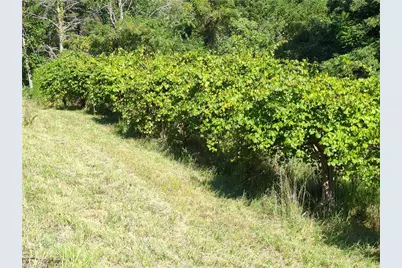 1324 Hardie Mabe Road, Danbury, NC 27016 - Photo 19