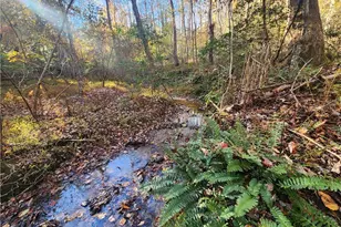 Tbd Sable Ave, Mount Airy, NC 27030 - Photo 1