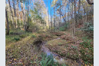 Tbd Sable Avenue, Mount Airy, NC 27030 - Photo 7