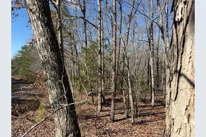 0 Thayer Road, Troy, NC 27371 - Photo 3