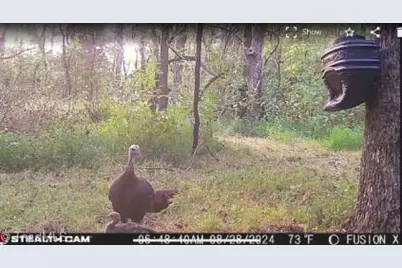 0 Nc Highway 14, Reidsville, NC 27320 - Photo 15