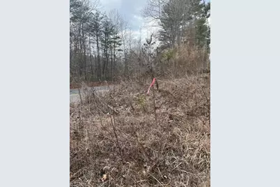 Lot 22 Austin Traphill Road, Traphill, NC 28685 - Photo 3