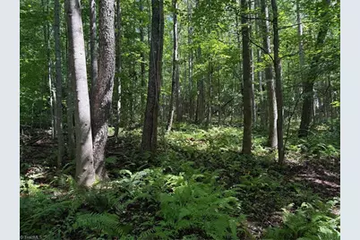 Lot 22 Austin Traphill Road, Traphill, NC 28685 - Photo 3
