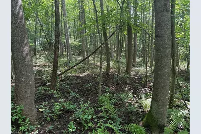 Lot 22 Austin Traphill Road, Traphill, NC 28685 - Photo 5