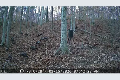 0 Beechwood Drive, Asheboro, NC 27205 - Photo 13