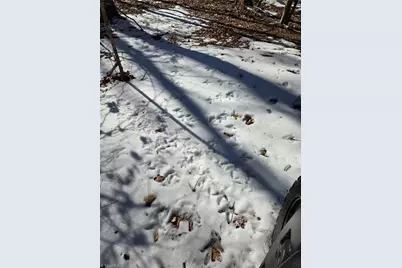 0 Beechwood Drive, Asheboro, NC 27205 - Photo 11