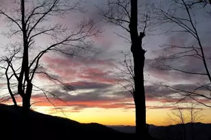 32 Crockett Ridge Rd, Black Mountain, NC 28711 - Photo 45