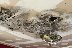 3307 Urban St, Winston-Salem, NC 27107 - Photo 9