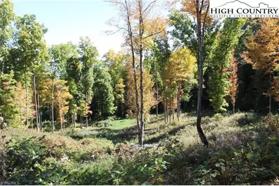 Tbd McNeill Road, Lansing, NC 28643 - Photo 9